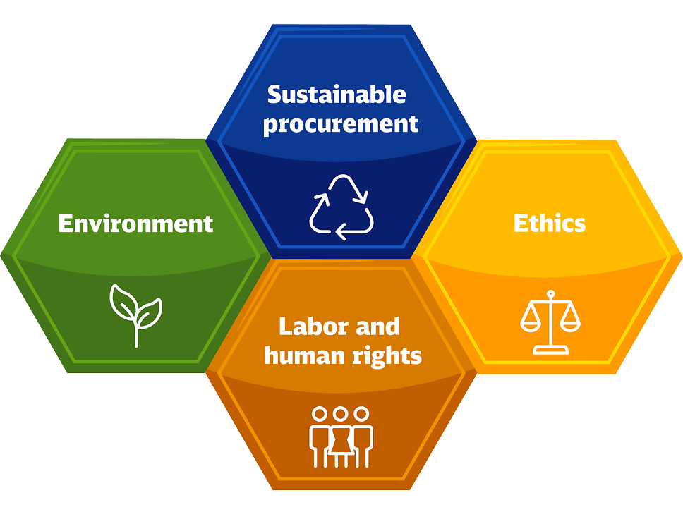Fields of action of a sustainability assessment