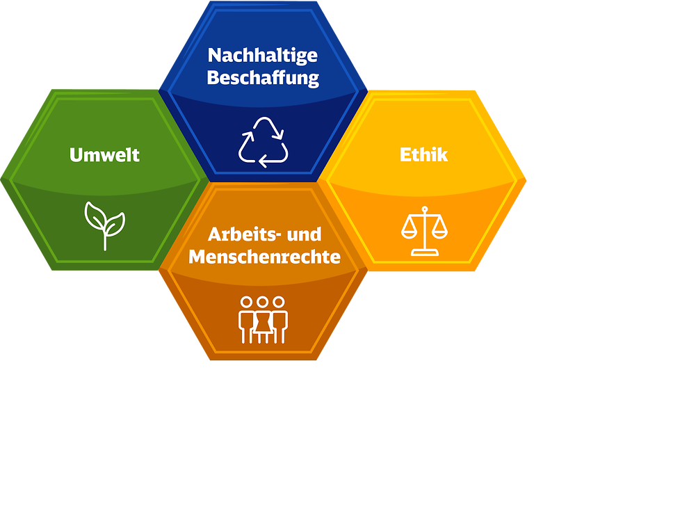 Handlungsfelder einer Nachhaltigkeitsbewertung